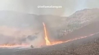 Apa Itu Fire Whirl? Tornado Api Muncul di Kebakaran Bromo Akibat Flare Prewedding