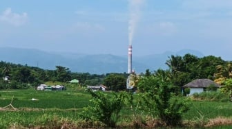 Dewan Proper KLHK Bingung Perhitungan Asumsi Kerugian Negara Rp 14,7 T dari PLTU