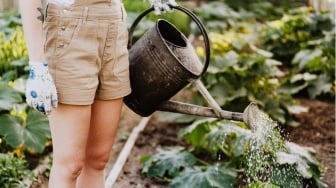 4 Manfaat Menakjubkan dari Hobi Berkebun, Emang Boleh Sekeren Ini?