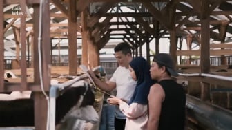 Kisah Inspiratif Pengacara Banting Setir Jadi Peternak Kambing: Sekarang Punya Omset Rp 1 Miliar per Bulan!