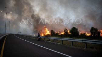 Kebakaran Hutan di Sumsel Semakin Mengkhawatirkan, Status Siaga Darurat Ditetapkan