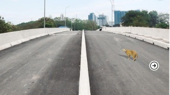 Ternyata Ada Akses, Ini Dua Jalan Menuju Stasiun Halim Kereta Cepat Jakarta-Bandung