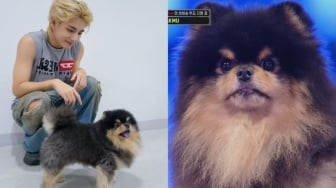 Perdana! Yeontan Akhirnya Tampil Bersama V BTS dan Mengejutkan ARMY