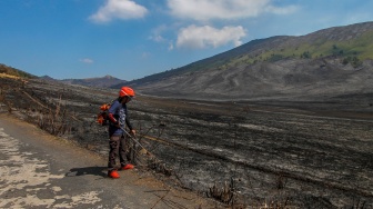 Relawan melakukan penyisiran di area kebakaran hutan dan lahan Gunung Bromo di Probolinggo, Jawa Timur, Jumat (15/9/2023). [ANTARA FOTO/Muhammad Mada/Spt]