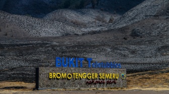 Penampakan Kawasan Gunung Bromo yang Hangus Akibat Kebakaran