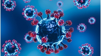 Heboh Kemunculan Virus Nipah di Kerala India, Lebih Bahaya dari Covid-19
