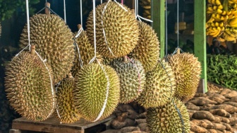Seringkali Dianggap Sampah, Berikut 3 Manfaat Tersembunyi dari Kulit Durian