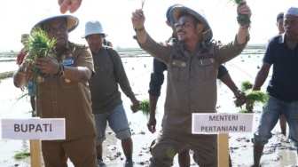 Antisipasi Dampak El Nino di Bone, Mentan SYL Kick Off Gerakan Nasional Taman Padi di Lahan Seluas 16.065 Ha