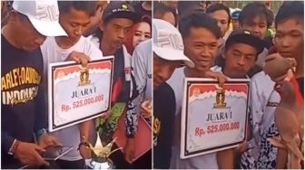 Viral Video Pemenang Lomba Merpati Balap Dapat Rp 525 Juta di Tegal, Publik Salfok dan Kaget