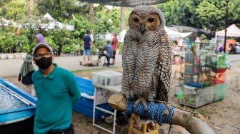 Pengunjung melihat Hewan Peliharaan saat Pameran Flona 2023 di Lapangan Banteng, Jakarta, Rabu (20/9/2023). [Suara.com/Alfian Winanto]