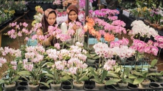 Melihat Ragam Flora dan Fauna di Pameran Flona 2023