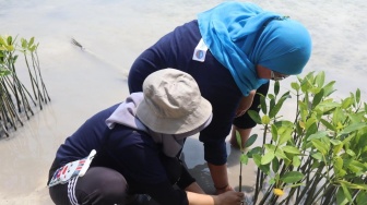 BRI Tanam Bibit Mangrove di Pulau Tidung