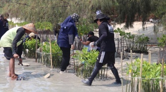 Tanam Bibit Mangrove di Pulau Tidung, BRI: Demi Bebas Emisi Karbon di 2060
