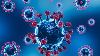 7 Gejala Virus Nipah: Demam, Sakit Kepala hingga Sakit Tenggorokan