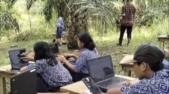 Tak Ada Akses Internet, Siswa SMP di Kalbar Terpaksa Naik Bukit Kebun Sawit Demi Laksanakan ANBK