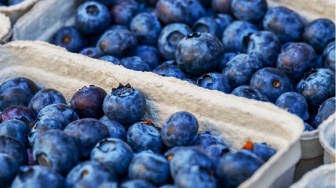 3 Alasan Makan Blueberry Tiap Hari Bisa Bikin Panjang Umur
