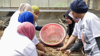 Petani Kopi di Bandung Barat Optimis Mampu Genjot Ekonomi Daerah
