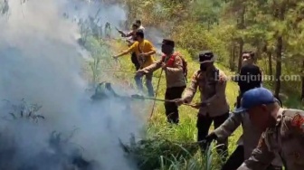 16 Hektar Hutan di Gunung Lawu Terbakar, Petugas Berjibaku Memadamkan Api