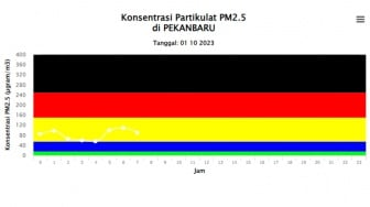 Kabut Asap Makin Pekat, Warga Riau Diminta Gunakan Masker