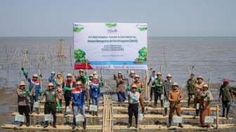 Dukung Ekosistem Karbon Biru, Pertamina Trans Kontinental Gelar Green Mangrove Action Program