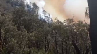 Penyekatan Kebakaran Hutan Gunung Lawu, Sumber Air dan Jaringan Pipa Jadi Fokus Utama