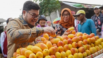 Pesan Mas Dhito untuk Petani Mangga Podang: Jangan di Booster