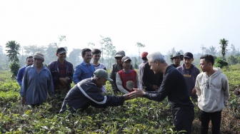 Momen Ganjar dan Siti Atikoh Jalan Pagi Sambil Berbincang dengan Petani Kebun Teh di Cianjur