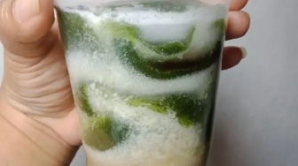 Resep Es Daluman, Minuman Cincau Hijau Khas Bali