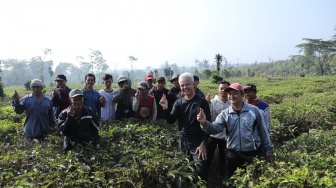 Lewat Pabrik Teh GP, Ganjar Bantu Berdayakan Warga Kaki Gunung Gede