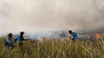 Polisi Selidiki Kebakaran Hutan TNWK