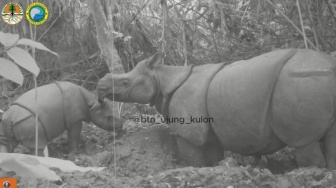 Balai TNUK Minta Google Buramkan Lokasi di Peta