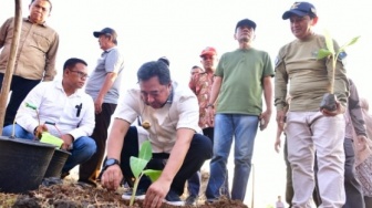 Bahtiar Baharuddin Gencarkan Revolusi Pisang: Sulsel Siap Jadi Produsen Terbesar Dunia