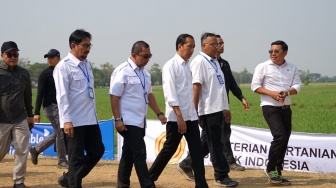 Pastikan Produksi Padi di Tengah El Nino, Presiden Jokowi Tinjau Panen dan Lokasi Pembudidayaan Benih Unggul ID FOOD