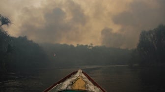 Asap membumbung tinggi dari hutan yang terbakar di Laboratorium Alam Hutan Gambut Cimtrop, Kelurahan Kereng Bangkirai, Palangka Raya, Kalimantan Tengah, Minggu (8/10/2023). [ANTARA FOTO/Auliya Rahman/tom]