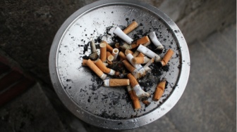 Jangan Langsung Dibuang, Berikut Manfaat Limbah Puntung Rokok bagi Tanaman