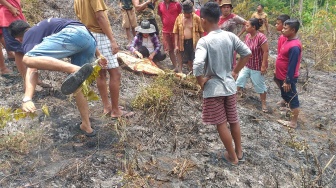 Seorang Warga Pesisir Selatan Tewas Terbakar Saat Padamkan Api Lahan Gambir