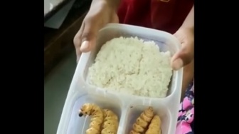 Viral Siswa SD di Bojonegoro Dikatain Guru Gegara Bawa Bekal Lauk Ulat: Tinggi Protein Pak