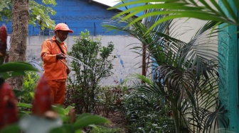 Lewat Instruksi Pj Gubernur Heru, Tempat Kumuh di Setiap Kelurahan Jakarta Disulap Jadi Taman hingga Urban Farming