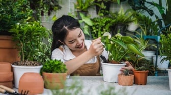 Ingin Membuat Taman Sayur Kecil di Rumah? Ini 6 Cara Mudah bagi Pemula