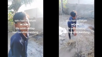 Tingkah Rauf Sehari Sebelum Dibunuh Ibu Kandung, Bocah 13 Tahun Rajin Bersih-bersih dan Suka Tidur di Atas Kandang Sapi