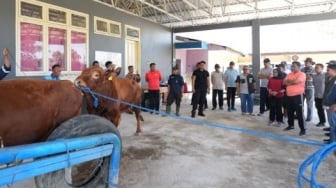 Penjabat Gubernur Sulsel Terkesan dengan Potensi Peternakan di Pucak, Maros