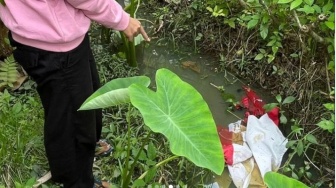 Remaja Bakar Bendera Merah Putih di Pontianak Ternyata Pernah Ingin Bunuh Adik Kandung