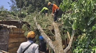 Kota Batu Diterjang Angin Kencang, Sejumlah Pohon Tumbang Menimpa Rumah dan Warung