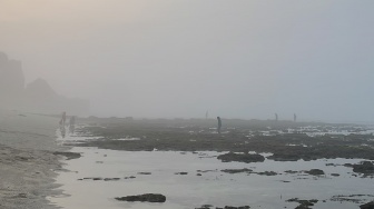 Kabut Tebal Selimuti Perairan Selatan Gunungkidul Tiap Sore Hari, Ini Kata BMKG