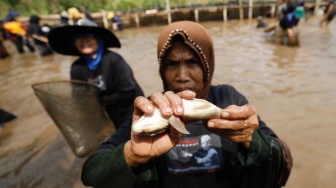 GMP Perkuat Dukungan Warga Garut dengan Tradisi Tangkap Ikan