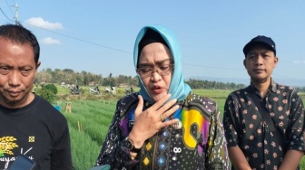 Angka Kemiskinan di Kulon Progo Turun, Paling Tinggi di DIY