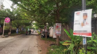 Caleg Pajang Spanduk di Pohon dan Tiang Listrik Pekanbaru, padahal Dilarang