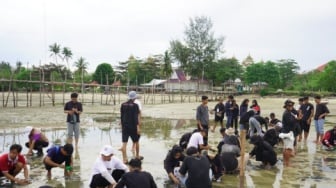 Pertama di Indonesia, Ratusan Pemuda Tanam Bibit Lamun di Pulau Bintan