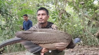 Viral! Burung yang Sudah Dinyatakan Punah Kini Ditemukan Kembali di Dekat Perkebunan Sawit