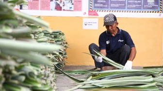 Pertamina EP Subang Field Kembangkan Inovasi Berkelanjutan dari Serat Olahan Daun Nanas